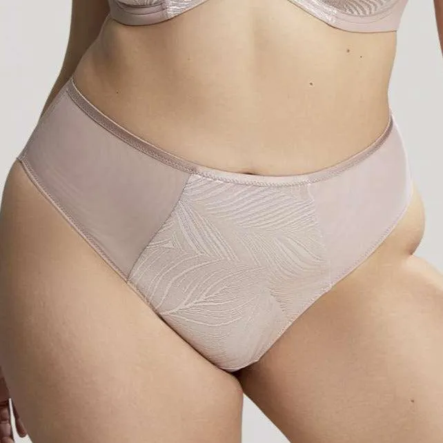 Sculptress Illuminate Brief in Vintage 10704